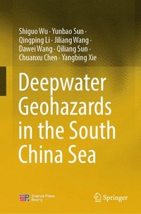 bokomslag Deepwater Geohazards in the South China Sea