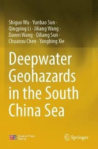 bokomslag Deepwater Geohazards in the South China Sea