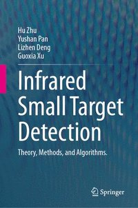 bokomslag Infrared Small Target Detection
