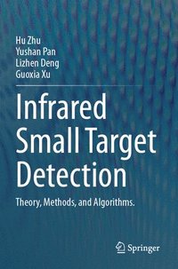 bokomslag Infrared Small Target Detection