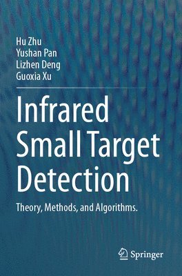 bokomslag Infrared Small Target Detection
