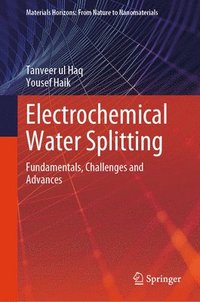 bokomslag Electrochemical Water Splitting