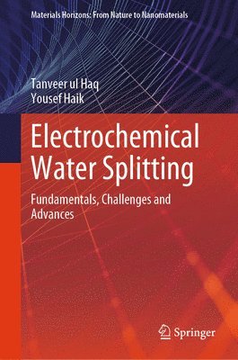 bokomslag Electrochemical Water Splitting