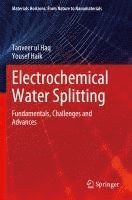 bokomslag Electrochemical Water Splitting