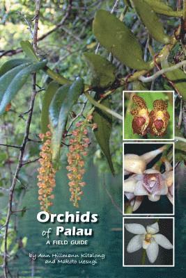 Ann Hillmann Kitalong - Orchids of Palau: A Field Guide, Häftad