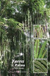 bokomslag Ferns of Palau: A Field Guide