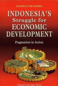 bokomslag Indonesia's Struggle for Economic Development: Pragmatism in Action