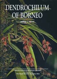 bokomslag Dendrochilum of Borneo