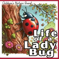 bokomslag Life of a Lady Bug