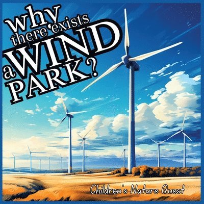 Why there exists a Wind Park? 1