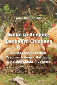 bokomslag Guide to Keeping Backyard Chickens