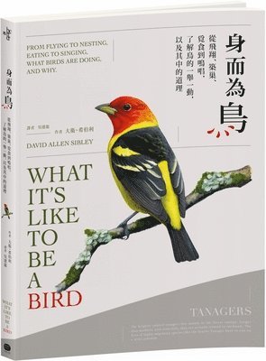 David Allen Sibley - What It's Like to Be a Bird: From Flying to Nesting, Eating to Singing--What Birds Are Doing, and Why, Häftad