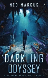 bokomslag The Darkling Odyssey