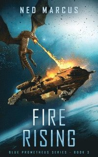 bokomslag Fire Rising