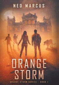 bokomslag Orange Storm