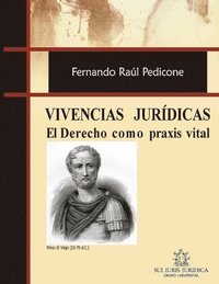 bokomslag Vivencias juridicas