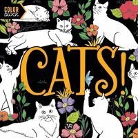 Carolina Marando - Cats, Häftad