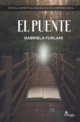 El puente 1