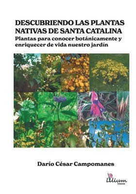 bokomslag Descubriendo las plantas nativas de Santa Catalina