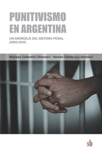 bokomslag Punitivismo en Argentina: Un abordaje del sistema penal (2000-2016)