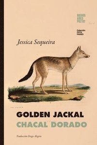 bokomslag Golden Jackal / Chacal Dorado