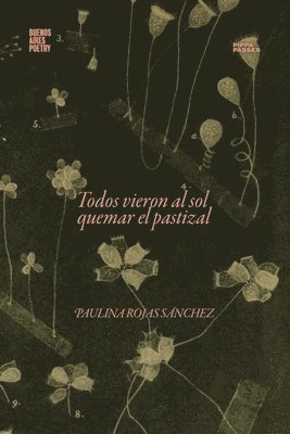 Paulina Rojas Sánchez - Todos vieron al sol quemar el pastizal, Häftad. Tillgänglighet: Lägg i varukorg