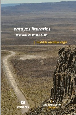 bokomslag Ensayos literarios: (poéticas sin-origen-ni-fin)