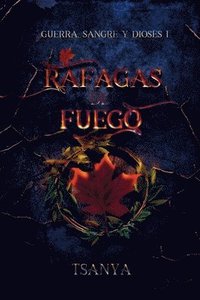 bokomslag Ráfagas de fuego