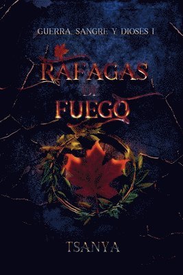bokomslag Ráfagas de fuego