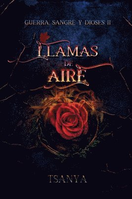 bokomslag Llamas de aire