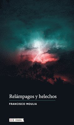 bokomslag Relámpagos y helechos