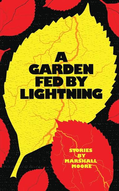 bokomslag A Garden Fed by Lightning