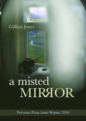 A Misted Mirror 1