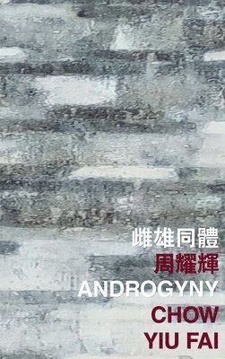 bokomslag Androgyny