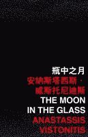 bokomslag Moon in the Glass