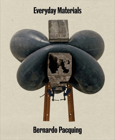 Elaine W. Ng, H.G. Masters, Josephine V. Roque - Everyday Materials, Häftad