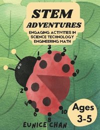 bokomslag STEM Adventures