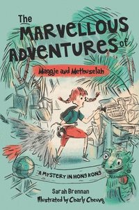 bokomslag Marvellous Adventures Of Maggie And Methuselah