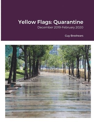 Yellow Flags 1