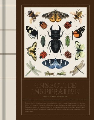 Insectile Inspiration: Insects in Art and Illustration 1