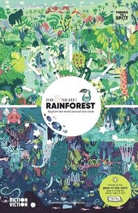 bokomslag Day & Night: Rainforest
