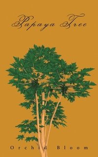 bokomslag Papaya Tree: A Family Saga in an Indigenous Village in the Cosmopolitan City of Hong Kong