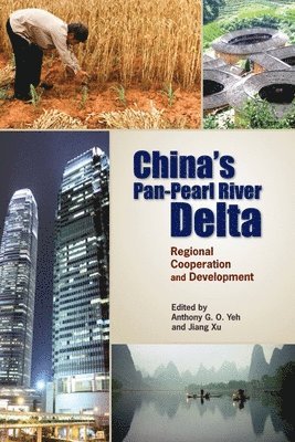 bokomslag Chinas PanPearl River Delta  Regional Cooperation and Development