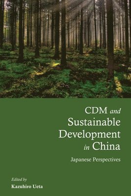 bokomslag CDM and Sustainable Development in China: Japanese Perspectives