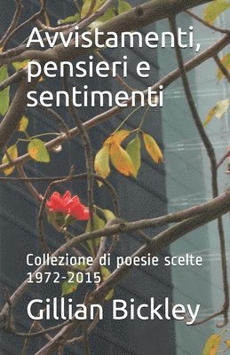 bokomslag Avvistamenti, pensieri e sentimenti