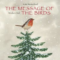 bokomslag The Message of the Birds