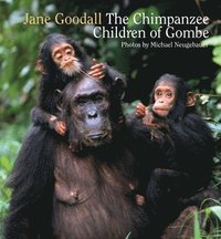 bokomslag Chimpanzee Children of Gombe, The