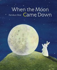 bokomslag When The Moon Came Down