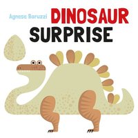 bokomslag Dinosaur Surprise