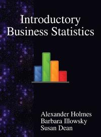 bokomslag Introductory Business Statistics